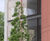 Stereo rectangular open mesh architectural gratings 0