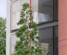 Multi-storey car park screening -  Manchester University