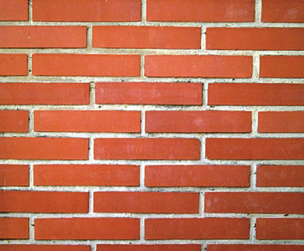 Rising damp solutions