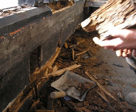 Wet rot solutions