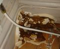 Dry rot solutions