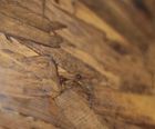 SMARTPLY FR/FR BUILD OSB3 flame-retardant panel