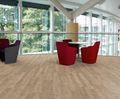 Amtico First Collection