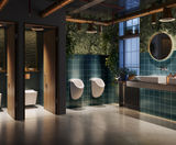 Revealing the impact of washroom design on wellbeing - on this page