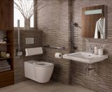 Concept Freedom - accessible bathroom fixtures for independent living - on this page