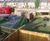 Outdoor play and learning unit - Daubeney Primary School 1