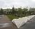 Commercial and public landscaping 6