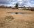 Environmental mitigation and enabling works 2
