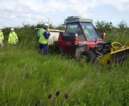 Vegetation management services