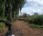 Environmental mitigation and enabling works