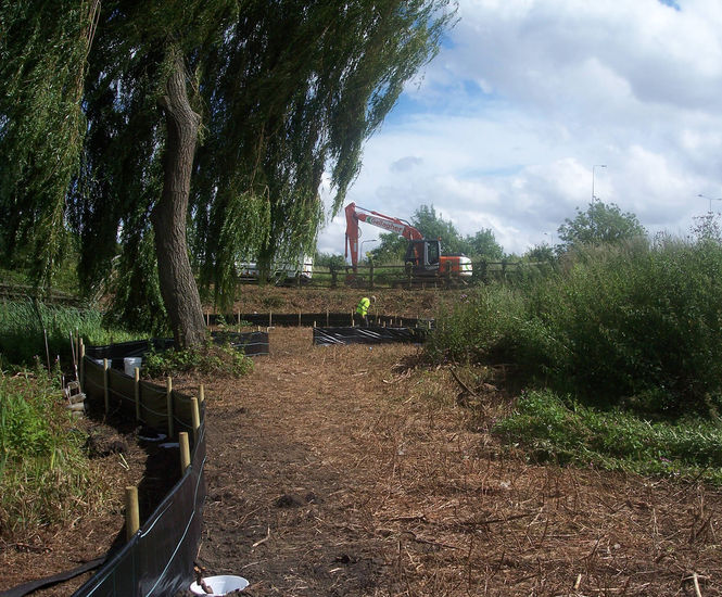 Environmental mitigation and enabling works