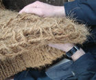 Coir erosion control/vegetation establishment blankets