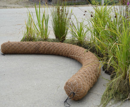 Dry and pre-established coir rolls