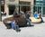 Tudor Square, sculptural seating and planters 4