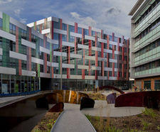 Sculptural pieces for Sheffield University garden