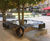Bespoke art tree seats 0