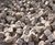 Reclaimed natural stone products and materials 3