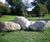 Natural stone mixed glacial boulders 3