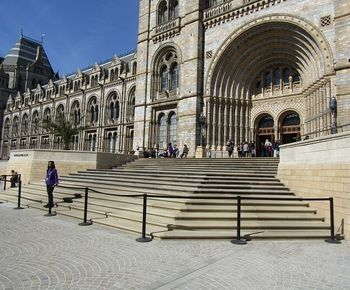 Stone paving, setts and kerbs for Natural History Museum