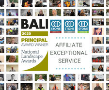 CED Stone Wins BALI Affiliate Exceptional Service Award