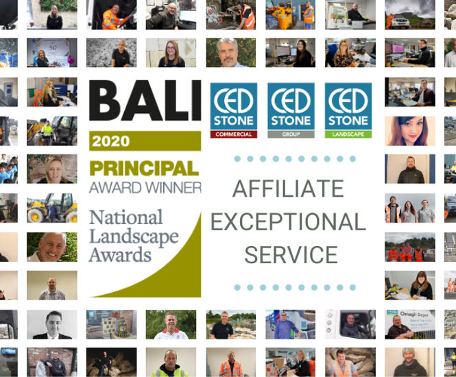 CED Stone Wins BALI Affiliate Exceptional Service Award