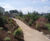Golden Amber - self-binding, non-porous limestone footpath gravel 2