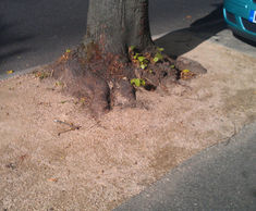 SuperCEDEC® - permeable granite and quartzite tree pit gravel (bronze)