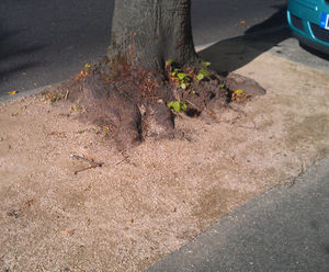 SuperCEDEC® - permeable granite and quartzite tree pit gravel (bronze)