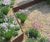Natural stone aggregates and gravels for landscaping 8