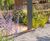 Natural stone aggregates and gravels for landscaping 9