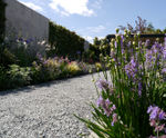 Natural stone aggregates and gravels for landscaping