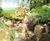 Rockery stones for gardens and features 2