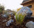 Rockery stones for gardens and features 0