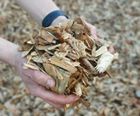 Eco PlayChip