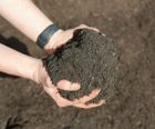 Eco Mix Pro Peat Free Compost 1