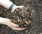 Eco Amenity Bark