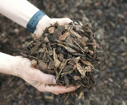 Eco Amenity Bark