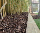Eco Woodland Mulch