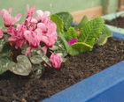 Eco Mix coarse peat-free soil improver