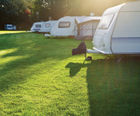 Fibreturf Rootzone for caravan park grass reinforcement
