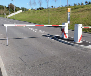 Automatic rising arm barriers for stadium