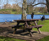 Picnic Table - on this page