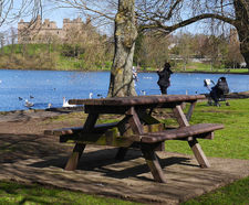 Picnic Table
