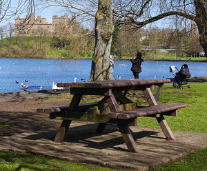 Picnic Table