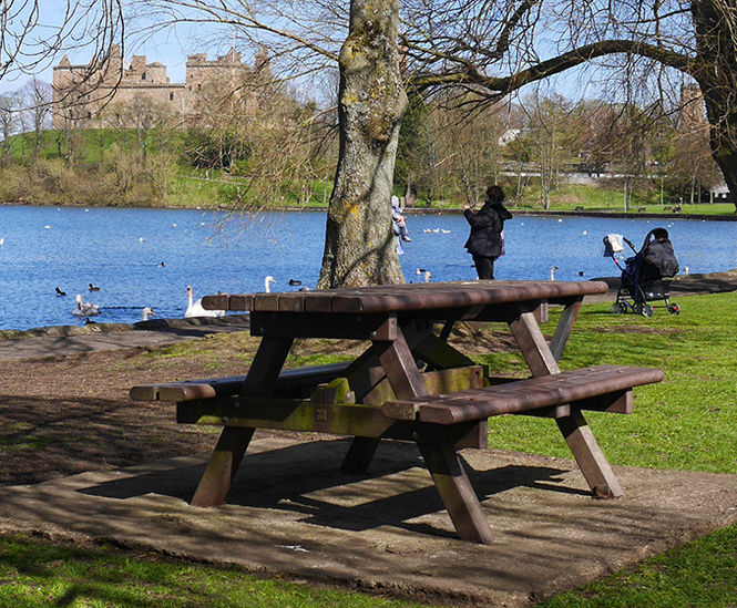 Picnic Table
