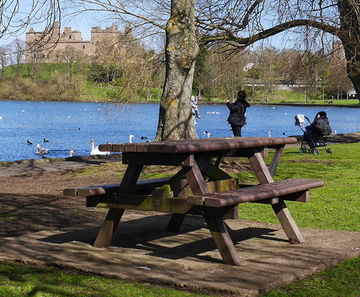 Picnic Table