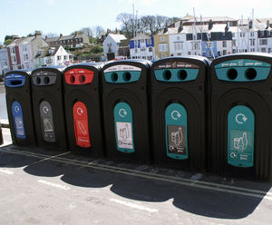 Nexus™ 360 recycling bin