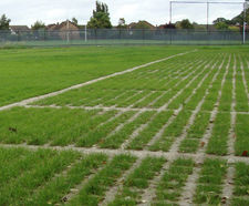 Grasscrete car park at Farmleigh, Dublin