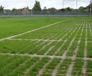Grasscrete car park at Farmleigh, Dublin