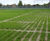 Grasscrete car park at Farmleigh, Dublin 0